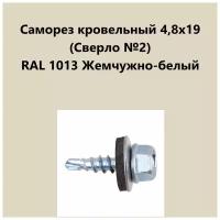 Саморез кровельный 4,8х19 (св.№2) RAL1013