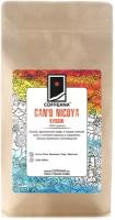 Свежеобжаренный кофе молотый COFFEANA Can'o Nicoya (авторский купаж) - средний, универсальный помол (кофемашина, гейзер, фильтр, френч-пресс) 500 г