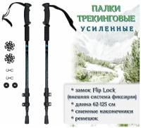 Трекинговые палки складные/ Палки для скандинавской ходьбы ECOS Trekking poles алюминиевые, замок flip-lock, ремешок, чёрные