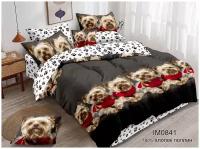 Комплект постельного белья BegAl И0841, 2-спальное, поплин, серый