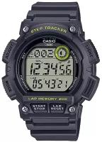 Наручные часы CASIO Collection WS-2100H-8A, черный
