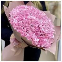 Букет диантусов № 61 цветы-101 шт. для женщин
