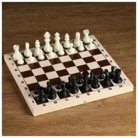 Фигуры шахматные КНР пластиковые, король h 6,2 см, пешка 3,5 см (4339337)