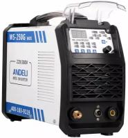 Сварочный аппарат TIG-250MPL (ANDELI)