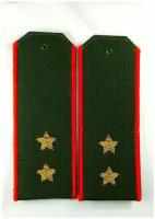 Погоны Министерства обороны (МО)-прапорщик, офисные, оливковые, красный кант, вышивка канитель-латунь, на пластике