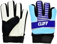 Вратарские перчатки Cliff