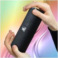 Беспроводная портативная колонка Bluetooth WALKER WSP-110