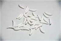 Силиконовые приманки мормышка Maggot (опарыш) L 1.0 см (70шт) цвет: white Maggot (микроджиг, мормышка, мормышинг, зимняя рыбалка)