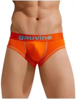 Мужские трусы брифы GAUVINE 3023