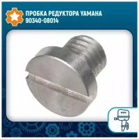 Пробка редуктора Yamaha 90340-08014