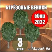 Веник банный березовый для бани 3 штуки Марий Эл свежий сбор июнь 2022 года с ручкой из джута