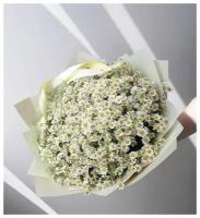 Букет Ромашка кустовая WOW эффект, красивый букет цветов, шикарный, премиум цветы ромашек