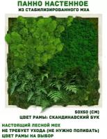 Панно из стабилизированно мха GardenGo в рамке цвета скандинавский бук, 50х50 см, цвет мха зеленый
