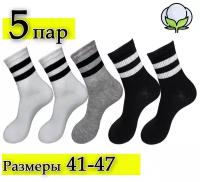 Носки Мини, 5 пар, размер 41-47, белый, черный, серый