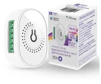 Умное двухканальное реле с Wi-Fi + 433МГц, Яндекс Алисой, Марусей, Google Home, Wireless Relay 16A