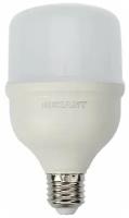 Лампа светодиодная высокомощная REXANT 30 Вт E27 с переходником на E40 2850 Лм 4000 K нейтральный свет