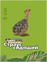 Фигурка птицы Collecta, Страусенок сидящий