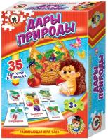 Настольная игра Русский стиль Умные игры Дары природы