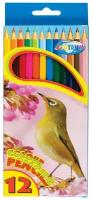 CENTRUM Цветные карандаши, 12 цветов разноцветный