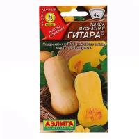 Семена Агрофирма АЭЛИТА Тыква мускатная Гитара 1 г