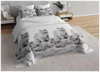 Комплект постельного белья BegAl 0257, 2-спальное, бязь, белый