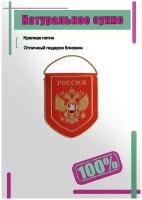 Вымпел с символикой Герб России вышитый малый 16х13 красный