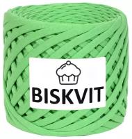 Нить вязальная Biskvit Biskvit, 100 % хлопок, 300 г, 100 м, 1 шт., 445 яблоко 100 м