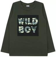 Джемпер лонгслив для мальчика, хаки, Wild Boy 30 (104-110) 4-5 лет