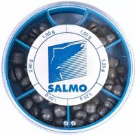 Грузила Salmo Дробинка Pl 6 Секций Крупные 100Г Набор