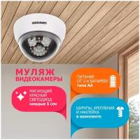 Муляж камеры Rexant RX-305 45-0305