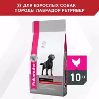 Корм для собак Eukanuba Dog Labrador Retriever сухой для взрослых собак породы лабрадор ретривер от года,10 кг