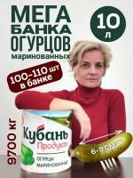 Огурцы маринованные 10 л Кубань Продукт 100-110, 1 шт