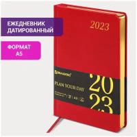 Ежедневник-планер (планинг) / записная книжка / блокнот датированный на 2023 год формата А5 138x213 мм Brauberg Iguana, под кожу