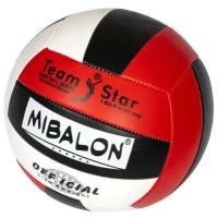 Мяч волейбольный Mibalon