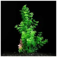 Растение искусственное аквариумное, 6 х 24 см, зелёное, 4 шт