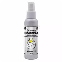 HOMECAT SILVER SERIES Царапай ТУТ 125 мл спрей для приучения котят и кошек к когтеточкам 8140243