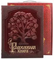 Родословная книга Изысканная с росписью в картонной коробке