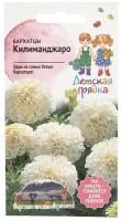 Бархатцы Килиманджаро 10 шт Детская грядка / семена однолетних цветов для сада