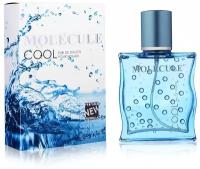 Туалетная вода мужская Molecule Cool, 100 мл