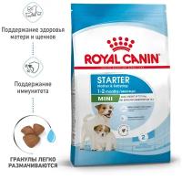 Сухой корм для щенков Royal Canin Mini Starter Mother & Babydog 8.5 кг (для мелких пород)