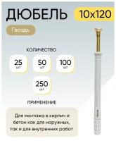 Дюбель-гвоздь 10*120 мм 25 шт