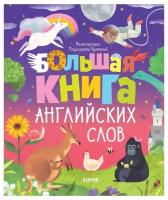 Мой первый английский. Большая книга английских слов