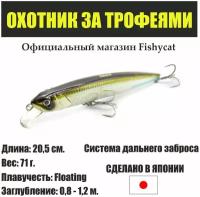 Воблер для рыбалки Fishycat Tigercub 205F / R09 - приманка на щуку