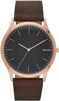 Наручные часы SKAGEN Jorn