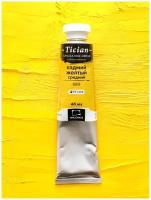 Масляная краска Tician, Кадмий желтый средний, 46 мл