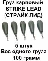 Груз карповый (Грузило) STRIKE Lead (Страйк) 100g 5 штук в упаковке