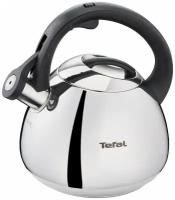 Чайник для всех видов плит Tefal Duetto+ N4180110 2,7 л нержавеющая сталь, индукционное дно