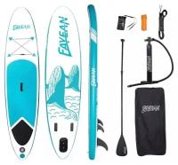 Sup board (Сап доска) FAYEAN BLU 10.0 полный комплект