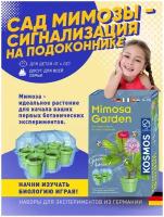Набор для опытов и экспериментов вырасти цветок Kosmos Experiments Сад мимозы, юный биолог, для детей от 6 лет