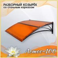 Лотос-100 Бронза. Козырек разборный над крыльцом, дверью, входом, окном, для дома и дачи. Металлический. Для двери крыльца, входа или окна